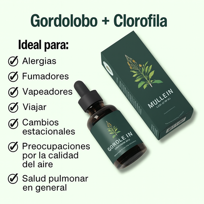 Fórmula Natural Limpia Pulmones MULLEIN, en gotas - ENVÍO GRATIS